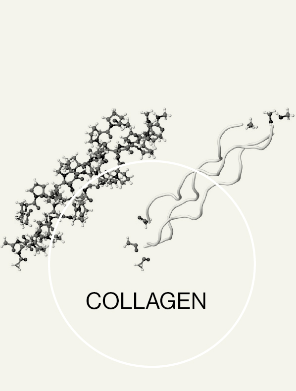 What’s the best collagen powder?